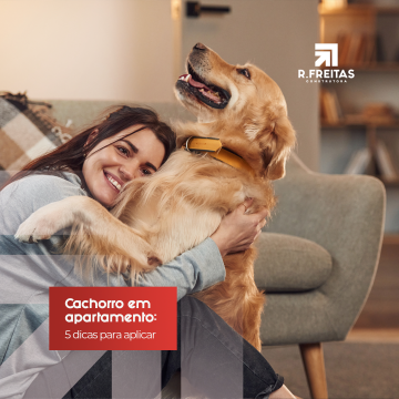 Cachorro em apartamento: 5 dicas para aplicar