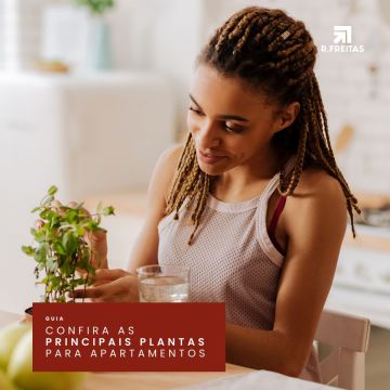 Guia: confira as principais plantas para apartamentos